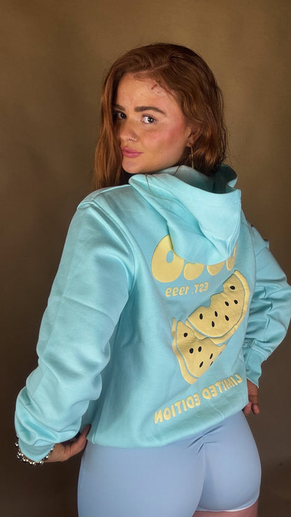 Harper 80% cotton fleece line Hoodie